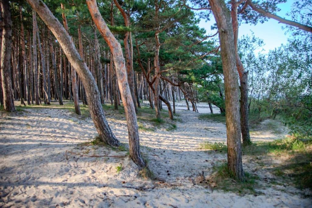 Luxury In Pinewood 3min Walk To Sea *