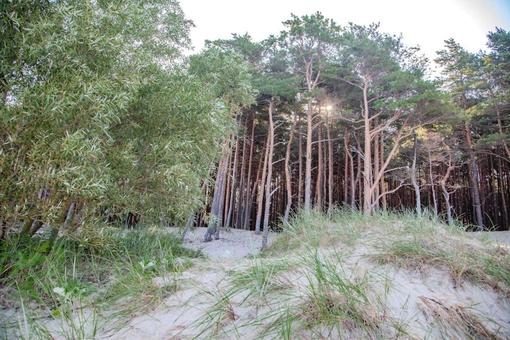 Apartment Luxury In Pinewood 3min Walk To Sea